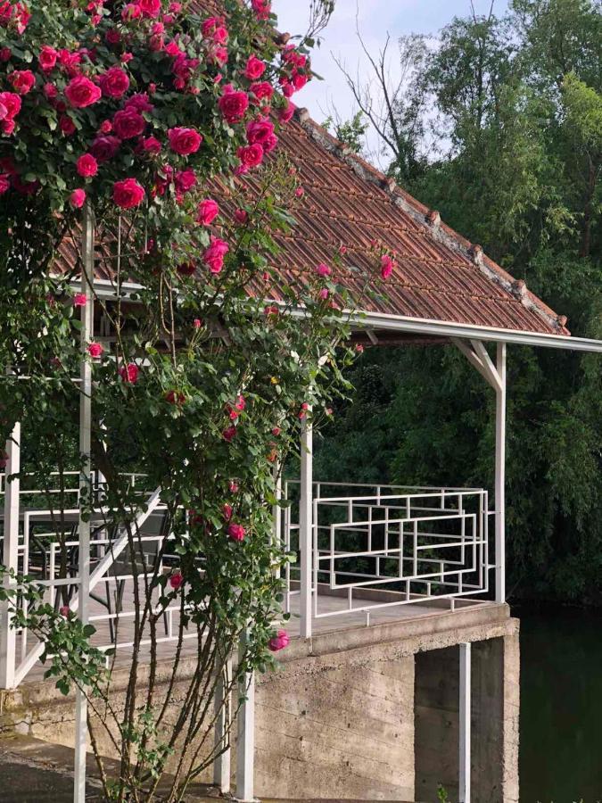 Villa Elita - Bela Crkva Bela Crkva  Exterior foto